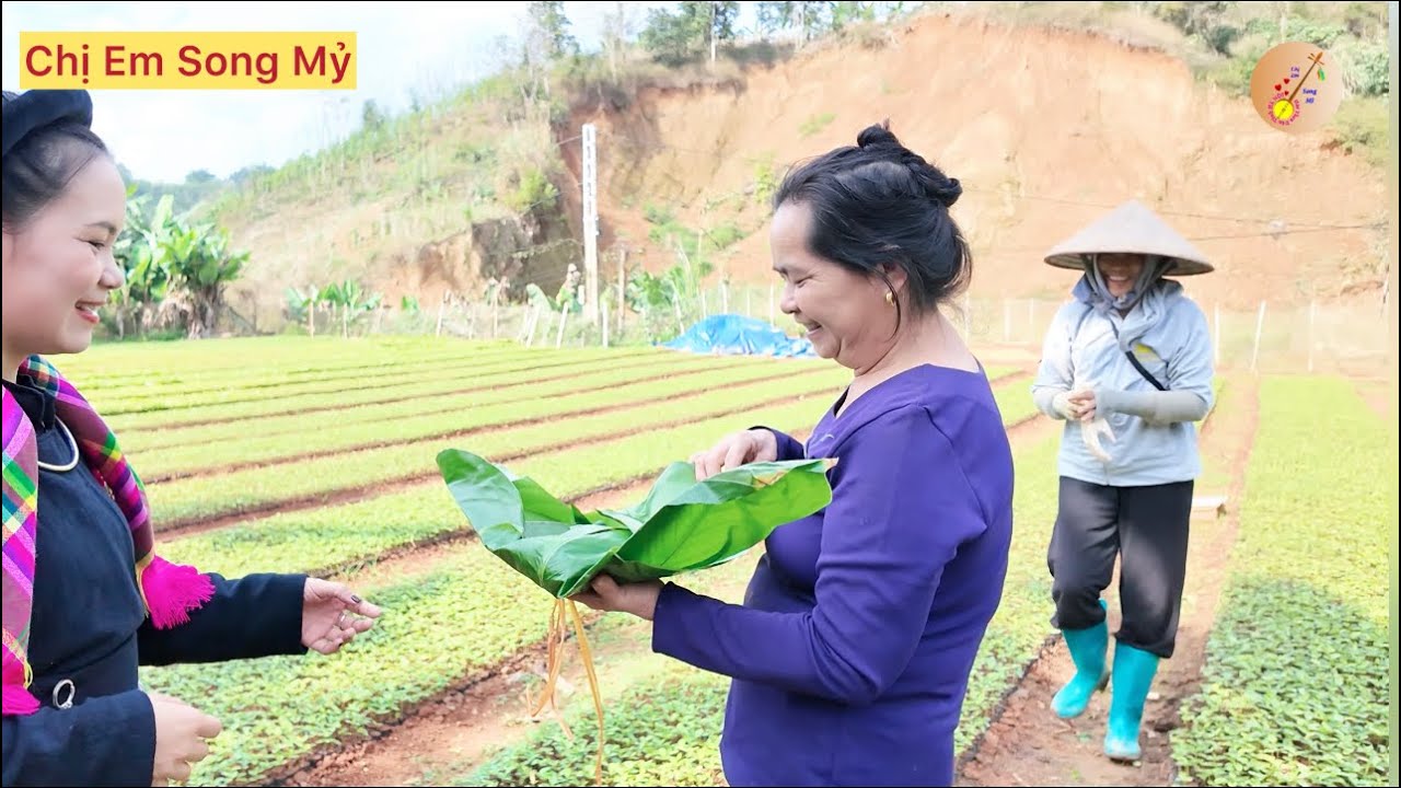 Vlog Song Mỷ : Món Quà Bất Ngờ cho bác Hai & Chị Nội 🌸 Chị Em Song Mỷ 🌸