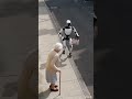 iPhone catches real humanoid robot steal elderly woman's handbag and wipe out 🤖👜