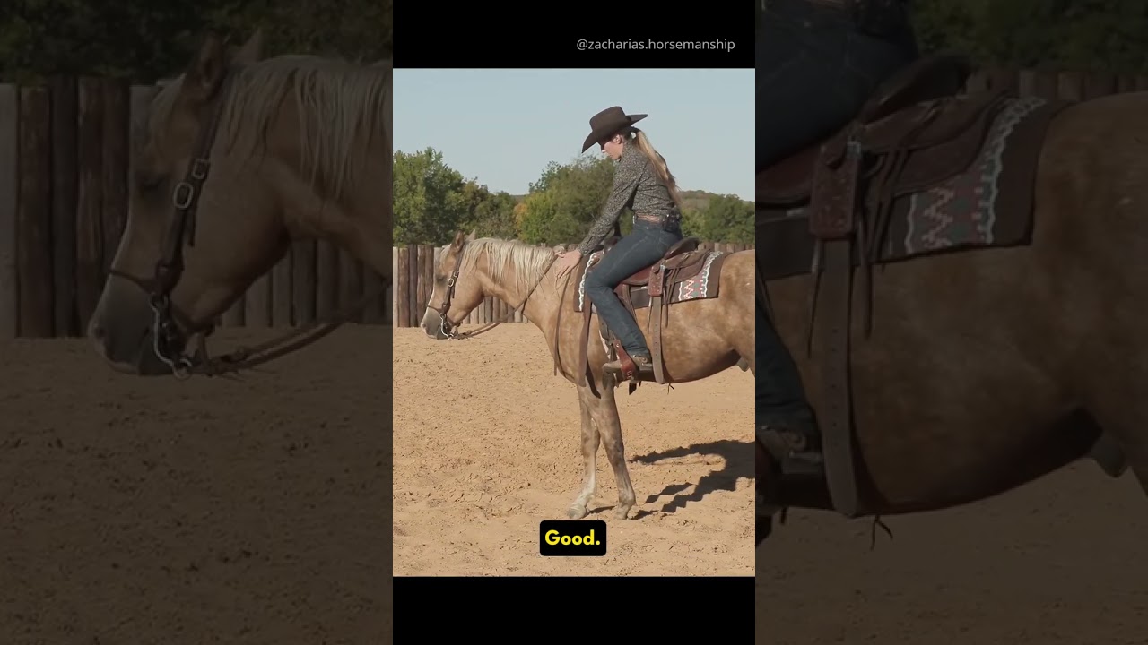 Sit back! Correct your riding posture fast