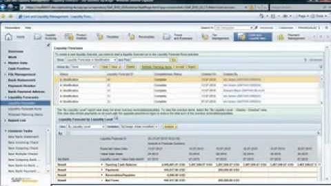 Managing Cash and Liquidity with SAP Business ByDesign - Solution Demo