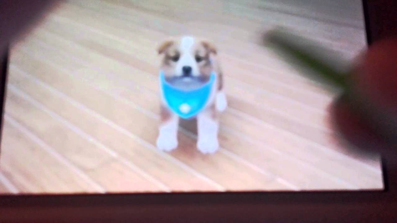 J'ai eu mon bébé dans nintendogs+cats - YouTube