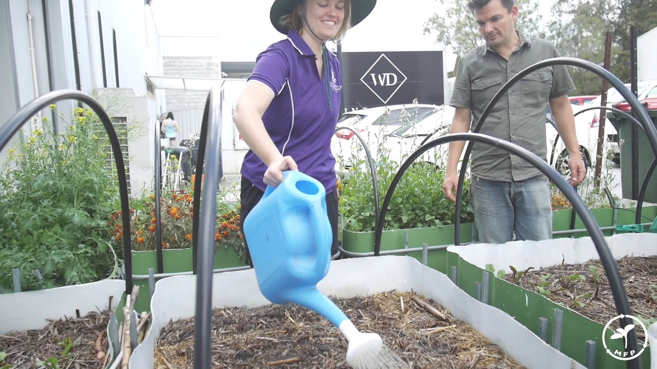 The Mini Farm Project