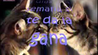 Proyecto Uno - 25 Horas