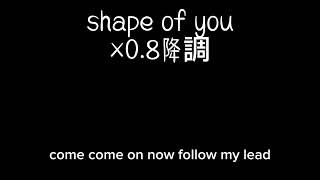 shape of you×0.8降調