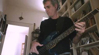 Emily - Baby Woodrose [Bass Cover]