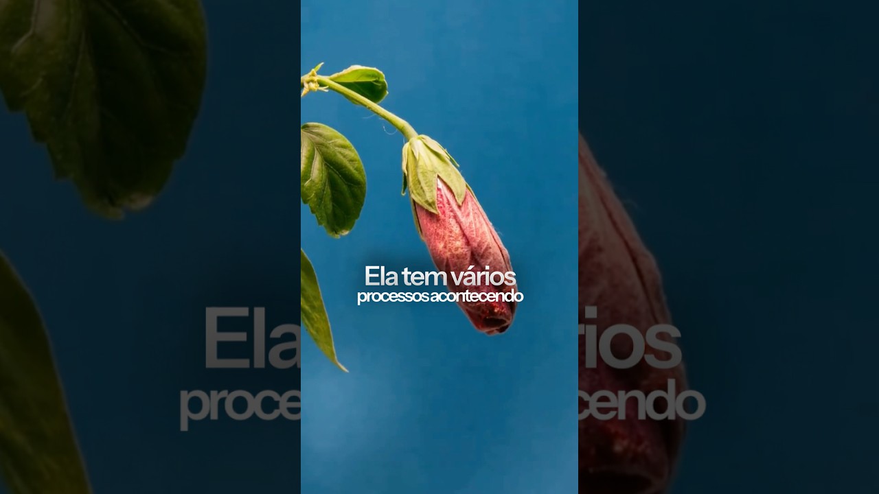 Como não se perder no digital? #marketingdigital #desenvolvimentopessoal #empreendedorismo