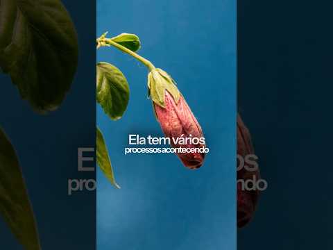 Como não se perder no digital? #marketingdigital #desenvolvimentopessoal #empreendedorismo