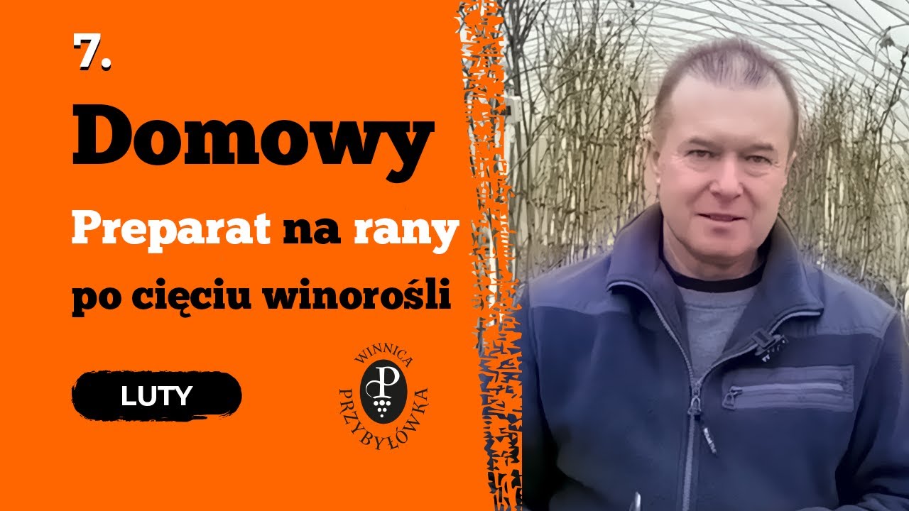 Jak zrobić domowy preparat na rany po cięciu winorośli.