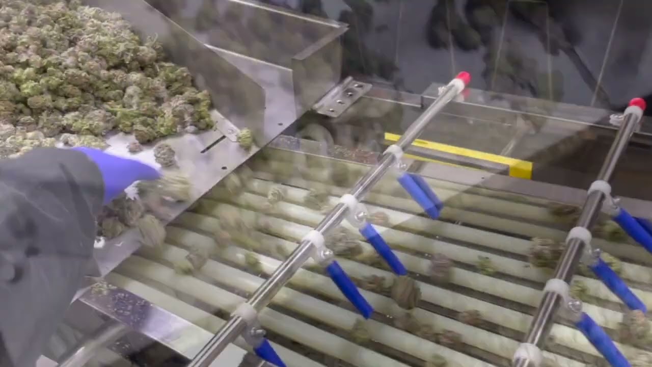 Tom's Tumbler Sorter