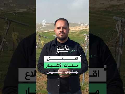 حرب على الأشجار والمنازل.. المستوطنون يصعدون اعتداءاتهم لتهجير المزارعين جنوب الخليل
