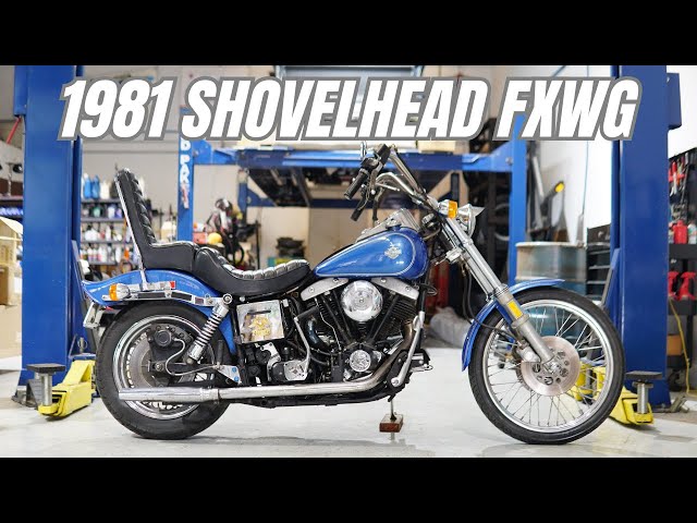 1981 Harley Davidson Shovelhead FXWG - YouTube