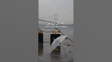Thumbnail of Teğabun süresi 11-13#ayet #raadalkurdi #quran #shorts #ayat #kuran #ayah #shortsvideo #shortvideo