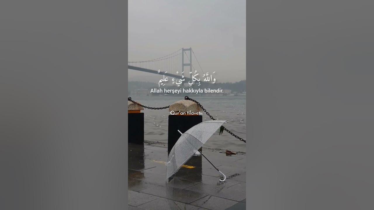 Teğabun süresi 11-13#ayet #raadalkurdi #quran #shorts #ayat #kuran #ayah #shortsvideo #shortvideo