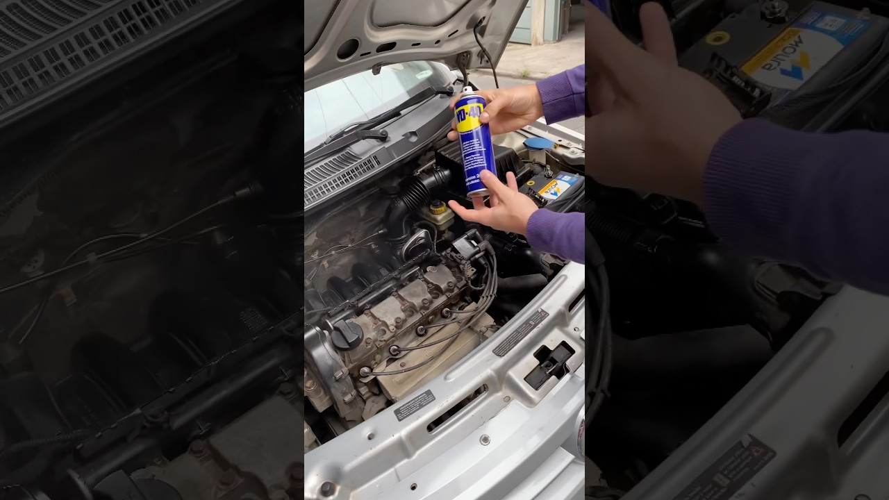 WD-40(Anti Rust)