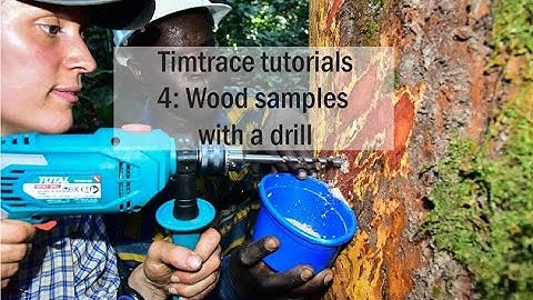Timtrace tutorial 4 - Wood samples with a drill - high density tree species
