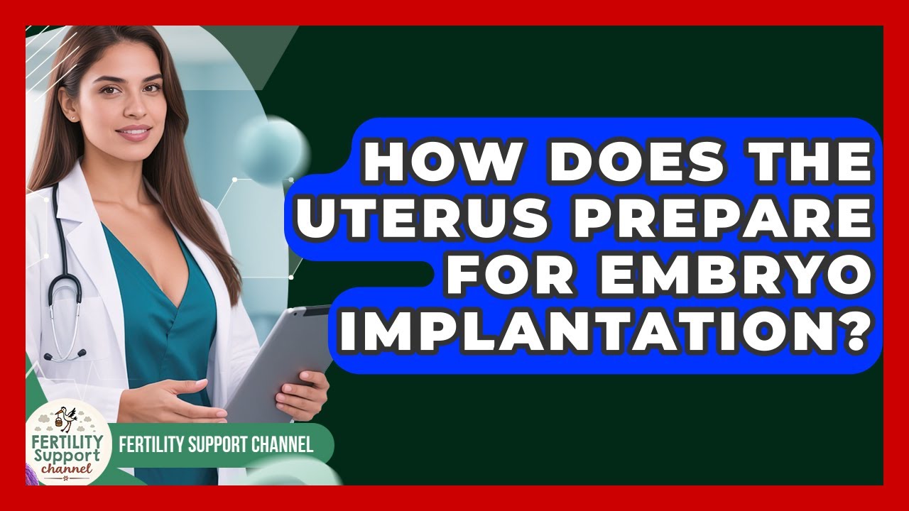 How Does The Uterus Prepare For Embryo Implantation? - Fertility ...