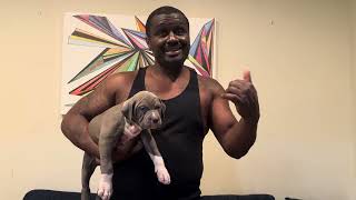 G4 Finds His New Home