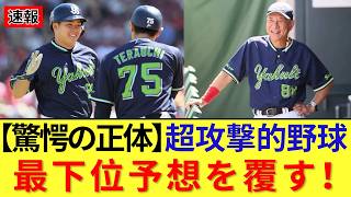 【なぜ最下位予想を覆せたのか？】ヤクルト躍進の裏側に沢井廉と松本健吾の覚醒！池山隆寛が仕掛ける“超攻撃的野球”の驚愕の正体とは？