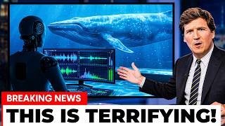 AI Just Decoded Whale Language - The First Message Was Terrifying