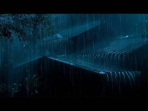 Rainforest Rain & Thunder 🌙 Fall Asleep Fast on an Old Metal Roof at Night