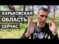 Жизнь НА ОККУПИРОВАННОЙ территории | Харьковская область сейчас