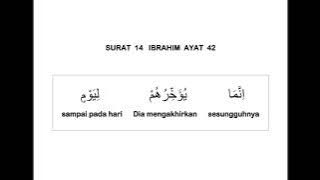 014 SURAT IBRAHIM AYAT 42 DAN TERJEMAHAN PER KATA