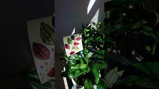 Little leaf art in a green world 🍃✨Nature-Inspired Leaf Drawing 🍃🎨#youtubeshorts #trending