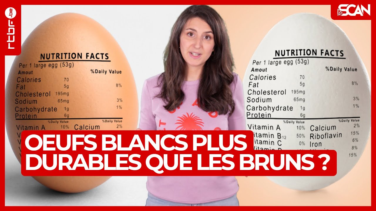 Oeufs blancs : plus durables que les oeufs bruns ? - Le Scan