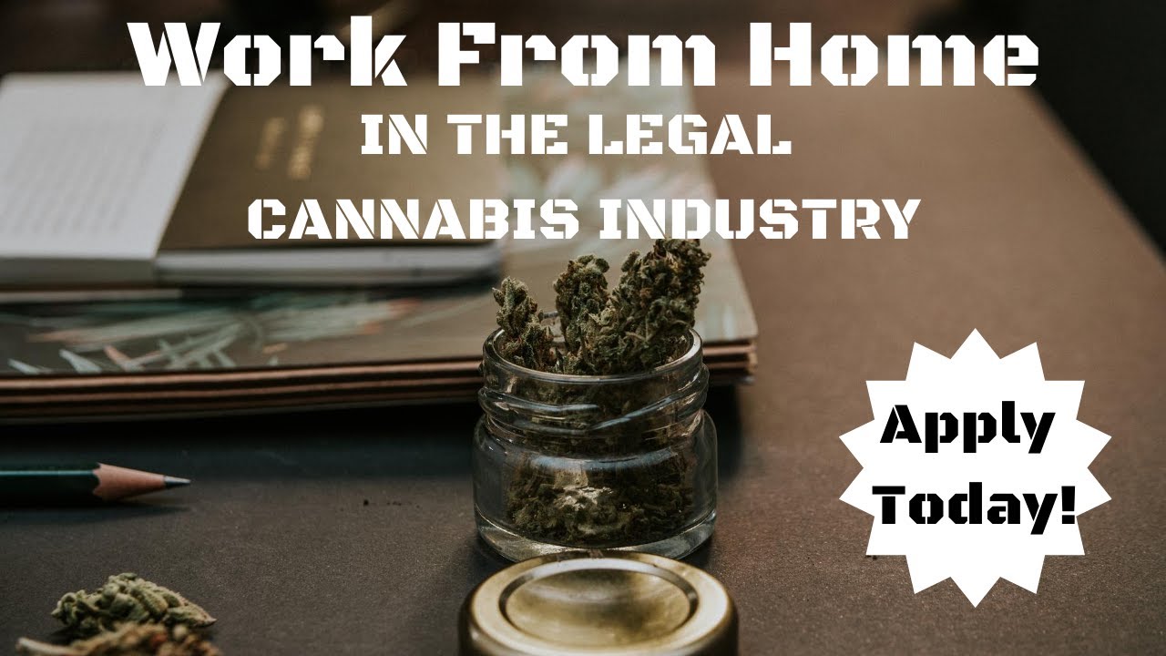 WORK FROM HOME IN THE LEGAL CANNABIS INDUSTRY