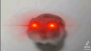 SAD HAMSTER VIOLIN MEME