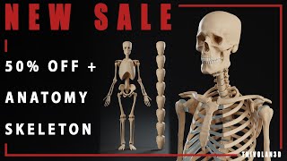 NEW ANATOMICAL SKELETON   BLACK FRIDAY SALE!!!
