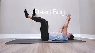 DNS Dead Bug 