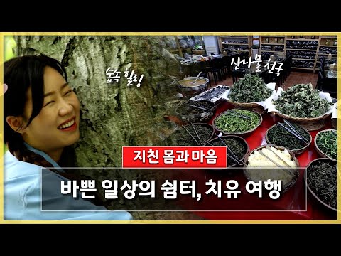 바쁜 일상의 쉼터, 치유 여행 | 전국을 달린다-창원 (KBS 2023.05.24 수 방송)