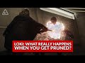 Loki: TVA Pruning – What Really Happens? (Nerdist News w/ Dan Casey)