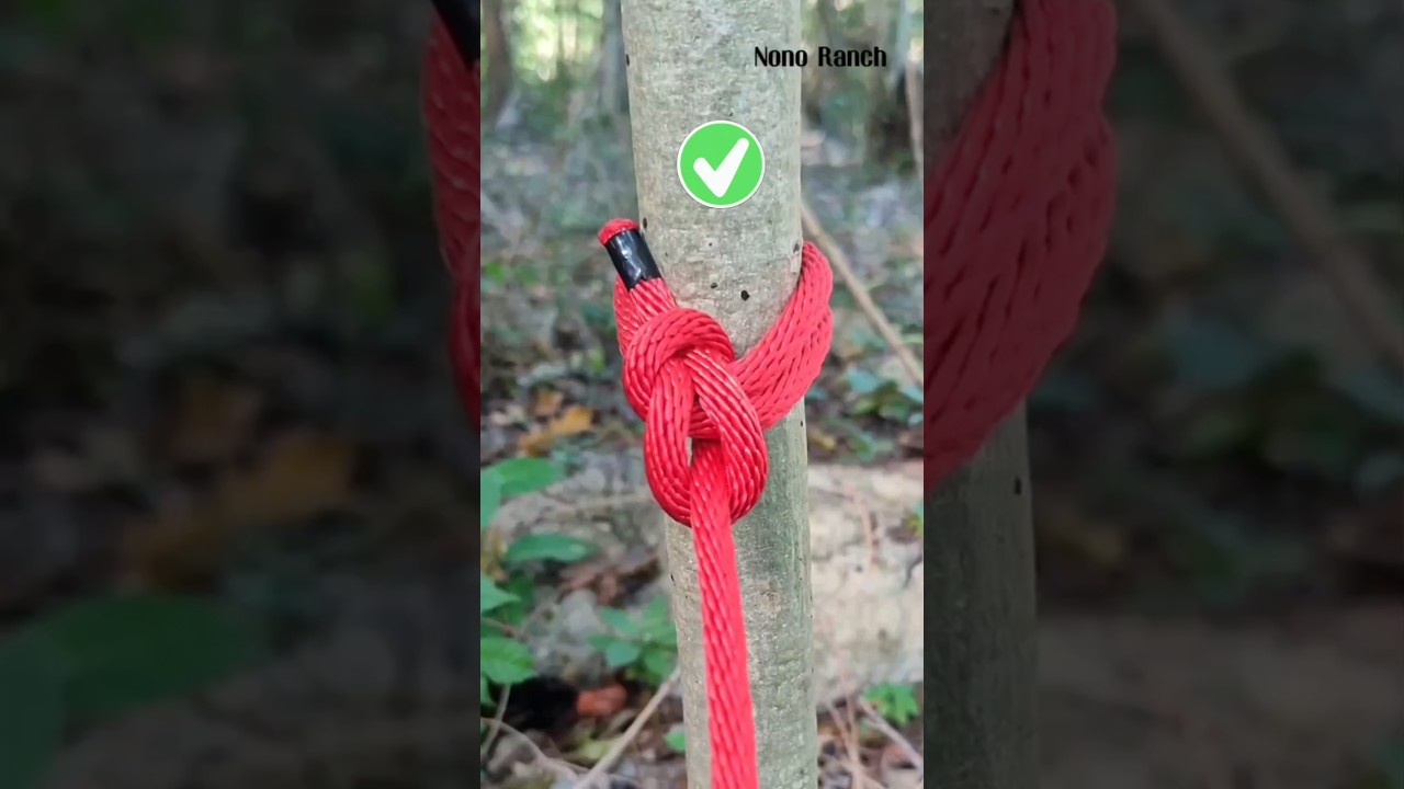 Variante del nudo As de Guía 💯😉 