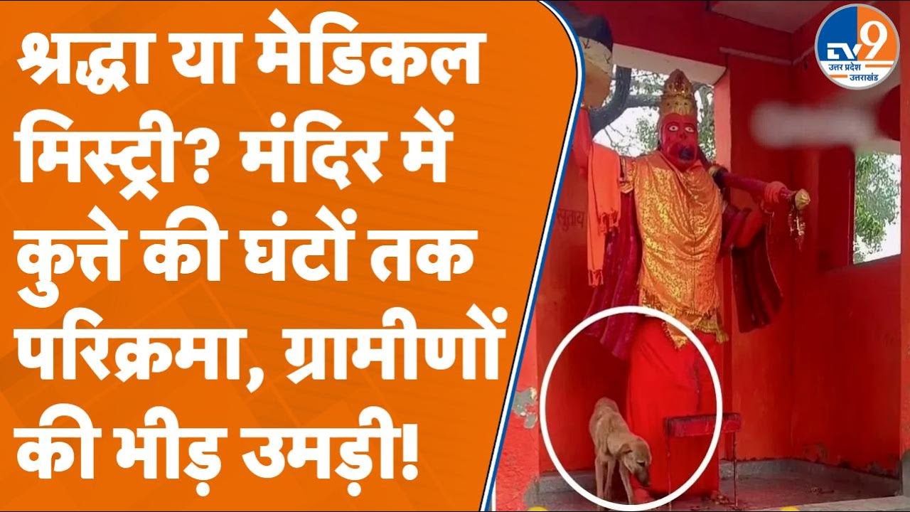Bijnaur में अनोखा चमत्कार!, Hanumand Mandir में तीन दिन तक मंदिर में परिक्रमा करता रहा कुत्ता, फिर..