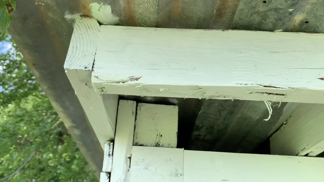 Built chicken coop from reclaimed wood