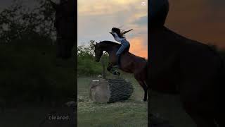 (Pin pic!) #horse #equestrian #edit #horseriding #sport #fyp