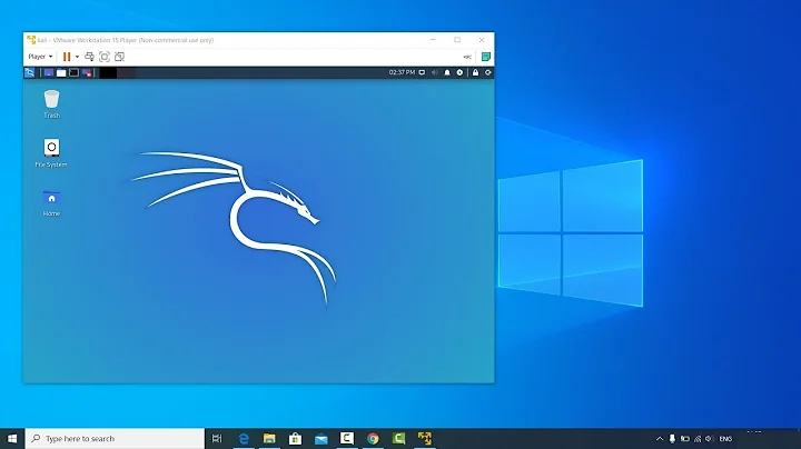 How to install Kali Linux 2020.1b in VMware Workstation Player 15 on Windows 10