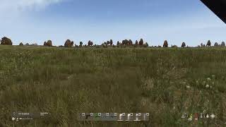 DayZ paseo muy Random Chernarusplus