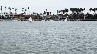IMG 8677