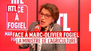 Pas De Blocage Pour Noël Lappel De La Ministre De Lagriculture Face À Fogiel Sur Rtl
