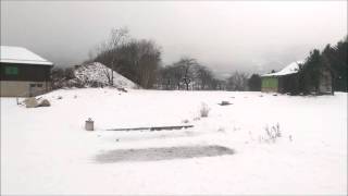 Dog game in the snow: Staffy & AmStaff screenshot 2