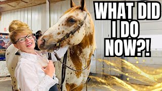 This Horse COMPLETELY Caught Me Off Guard At The Auction…