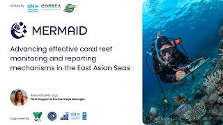 Turning coral reef data into action in the East Asian Seas with MERMAID