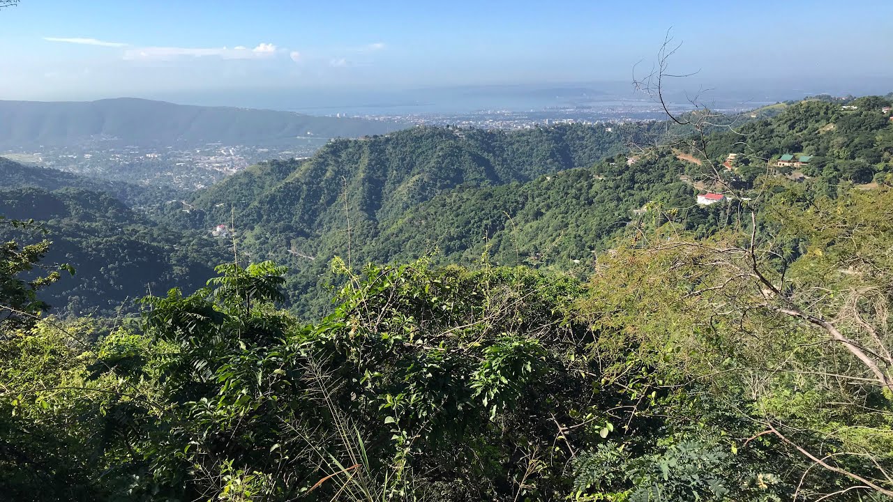 Blue Mountains Drive From Kingston Jamaica