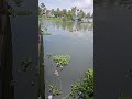 Kochi Water Metro Cheranalore