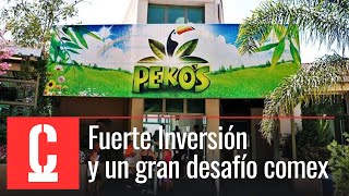 Pekos Multiparque Ple 40 Años La Mega Inversión Que Trae Tecnología De Punta A Córdoba