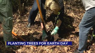 Planting trees for Earth Day