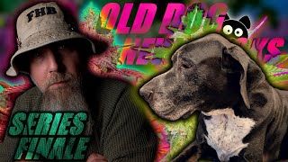 Series Finale! - OLD DOG, NEW TRICKS | Mephisto Genetics Guava Fig Day 56 - Harvest!